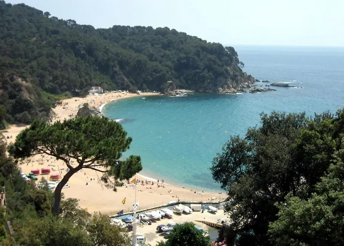 Senia Cala Canyelles Campsite
