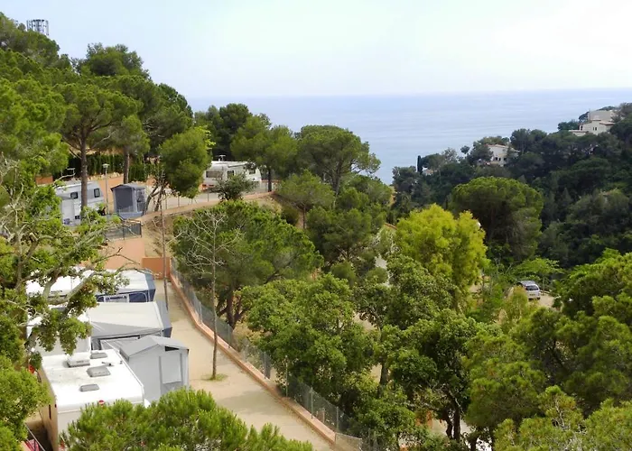 Senia Cala Canyelles Campsite *