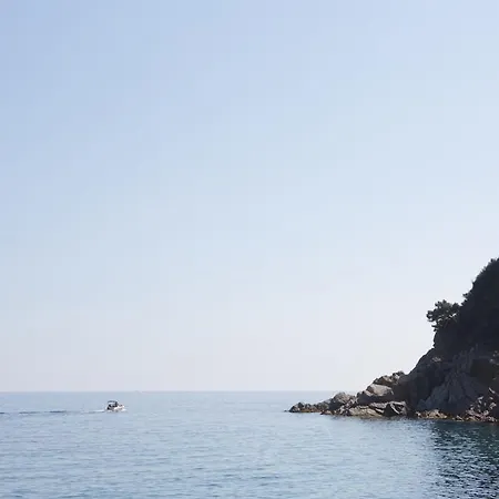 캠프장 Senia Cala Canyelles