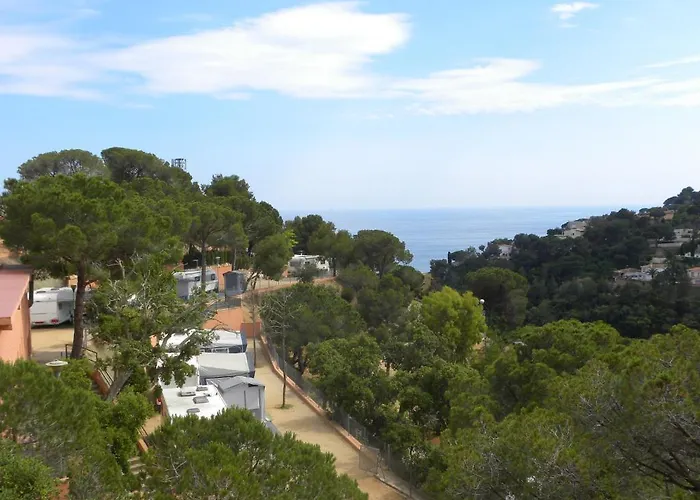 Senia Cala Canyelles Lloret de Mar